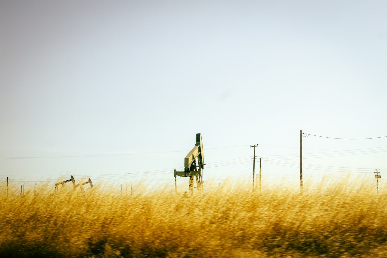 Oil pump jacks in a field of tall grass