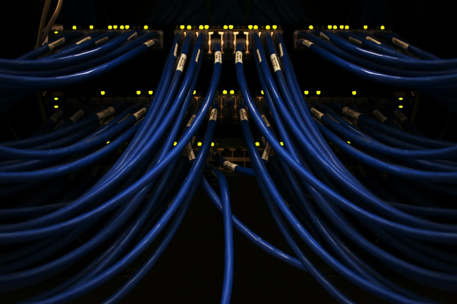Network cables connected to server racks