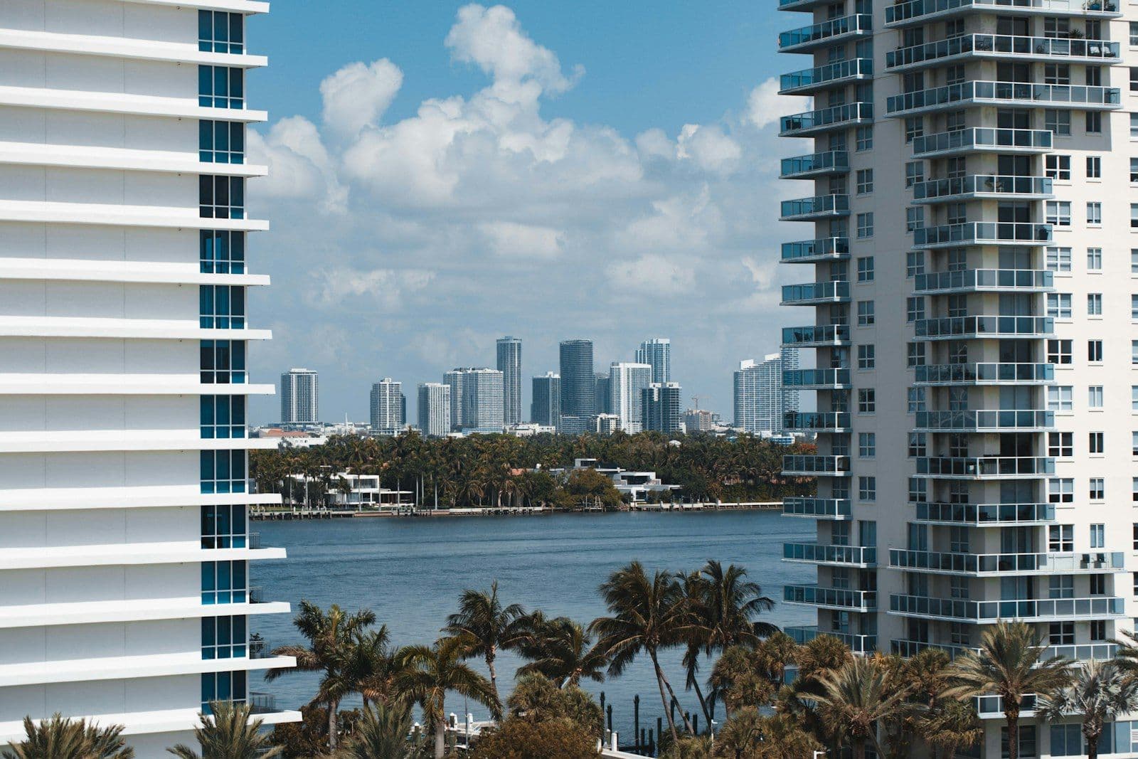 Miami Beach condo towers and palm trees with the downtown skyline across the bay