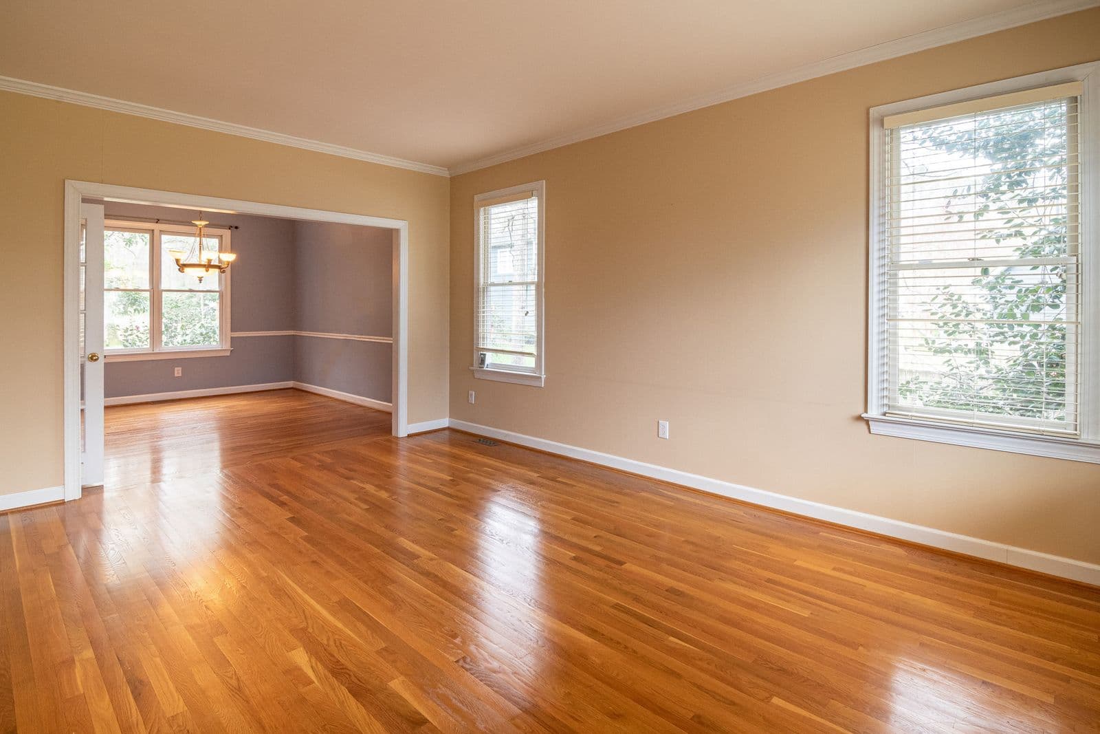 Bellwood Realty — A listings and virtual-tour site that let agents self-publish instead of waiting on a webmaster.