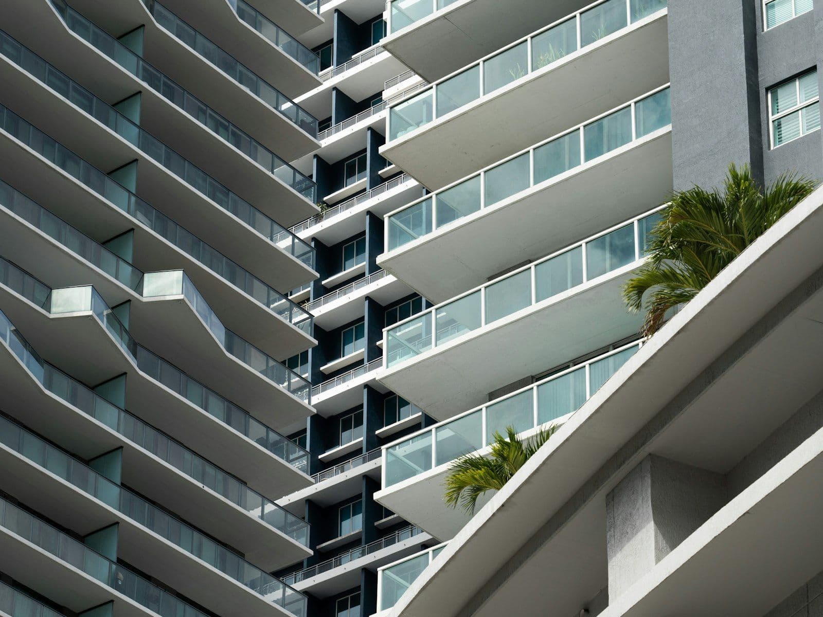 Balconies of a high-rise apartment building framed by palm trees in Miami